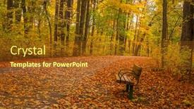  Presentation with fall foliage - Amazing PPT layouts having single-park-bench backdrop and a tawny brown colored foreground