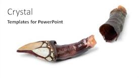  Presentation with single malt - Beautiful slide set featuring single-peeled-fresh-cooked-goose backdrop and a white colored foreground