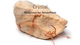  Presentation with fruit - Presentation consisting of single-piece-of-baobab-fruit background and a white colored foreground