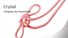  Presentation with pink white - Audience pleasing slides consisting of single-pink-knot-isolated backdrop and a white colored foreground