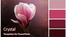  Presentation with flower vintage - Beautiful slides featuring background in a colour palette backdrop and a wine colored foreground