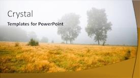  Presentation with gloomy - Presentation theme enhanced with single-poplars-can-be-seen background and a sky blue colored foreground