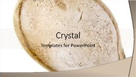  Presentation with seed - Amazing slide deck having single pumpkin seed close up extreme macro shot isolated on white background backdrop and a lemonade colored foreground