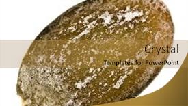  Presentation with seed - Slide set enhanced with single pumpkin seed peeled close up macro shot isolated on white background background and a gold colored foreground