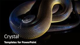  Presentation with python - Amazing theme having single-rainbow-serpent-water-python backdrop and a black colored foreground