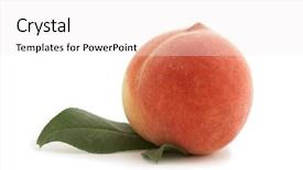  Presentation with simple green - Colorful slides enhanced with leaves isolated on white background backdrop and a sky blue colored foreground