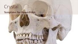  Presentation with octopus on isolated white - PPT layouts with single-skull-isolated-on-white background and a  colored foreground