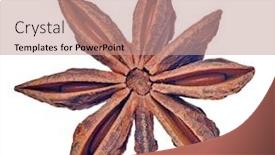  Presentation with star - PPT layouts having single-star-anise-isolated background and a coral colored foreground