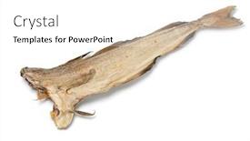  Presentation with atlantic - Presentation having single-stockfish-atlantic-cod-close background and a white colored foreground