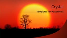  Presentation with sun rise - PPT theme with single tree against sun rise background and a red colored foreground