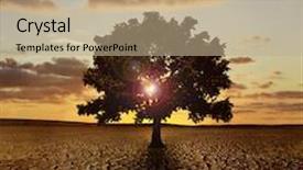  Presentation with single tree - Presentation theme with endangered earth - single tree in a dry background and a coral colored foreground