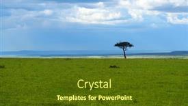  Presentation with single tree - Colorful PPT theme enhanced with single-tree-on-the-field backdrop and a tawny brown colored foreground