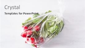  Presentation with issue - PPT layouts with single-use-plastic-packaging-issue background and a white colored foreground