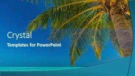  Presentation with single tree - Slides consisting of single vibrant coconut palm tree on a white tropical beach maldives islands background and a ocean colored foreground
