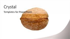  Presentation with walnut - Slide deck having single walnut isolated background and a white colored foreground