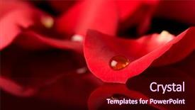  Presentation with water droplet - Slide deck enhanced with single water droplet lying background and a wine colored foreground