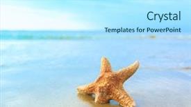  Presentation with shell - Amazing PPT theme having single wave - beach sand shell backdrop and a arctic colored foreground
