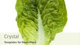  Presentation with lettuce - Presentation design featuring single-wet-romaine-lettuce-leaf background and a yellow colored foreground