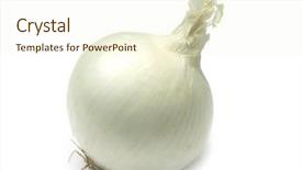  Presentation with onion - Cool new slide set with single white onion isolated on white backdrop and a cream colored foreground