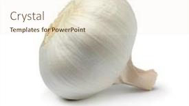  Presentation with garlic garlic garlic bulb - Audience pleasing PPT theme consisting of single-white-whole-garlic-bulb backdrop and a cream colored foreground