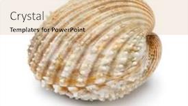  Presentation with closed - Colorful PPT theme enhanced with single-whole-fresh-closed-prickly backdrop and a lemonade colored foreground