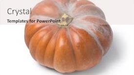  Presentation with orange - PPT theme consisting of single whole fresh orange moschata pumpkin isolated on white background background and a lemonade colored foreground