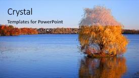  Presentation with willow tree - Theme enhanced with single willow tree background and a  colored foreground