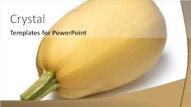  Presentation with spaghetti - Theme consisting of single-yellow-whole-spaghetti-squash background and a white colored foreground