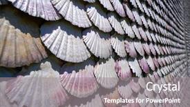  Presentation with sea shells - Amazing slide set having singular - la toja island toxa chapel backdrop and a gray colored foreground