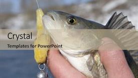  Presentation with hand sanitizer kids - Theme featuring fishing hook line sinker - bass in fisherman's hand fith background and a  colored foreground