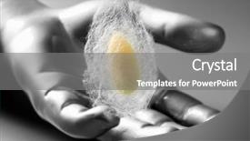  Presentation with evolution - Audience pleasing slides consisting of sericulture - cocoon of silkworm on cyber backdrop and a gray colored foreground