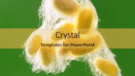 Presentation with sericulture - PPT layouts enhanced with sericulture - yellow silkworm cocoon over green background and a yellow colored foreground