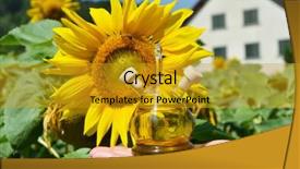  Presentation with oil and gas - Slides consisting of sirupi - bottle of oil against sunflowers background and a  colored foreground