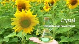  Presentation with oil pollution on sea - Colorful slides enhanced with sirupi - bottle of oil against sunflowers backdrop and a  colored foreground