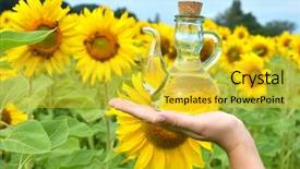  Presentation with oil and gas - Audience pleasing presentation consisting of sirupi - bottle of oil against sunflowers backdrop and a  colored foreground