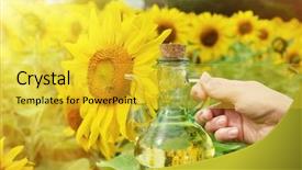  Presentation with indian oil power corporation limited - Presentation design enhanced with sirupi - bottle of oil against sunflowers background and a  colored foreground