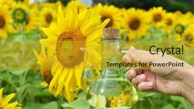  Presentation with sunflowers - Beautiful presentation theme featuring sirupi - bottle of oil against sunflowers backdrop and a  colored foreground