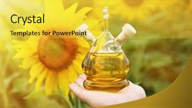  Presentation with sunflowers - Cool new slides with tying running shoes on the freezing snow backdrop and a cream colored foreground