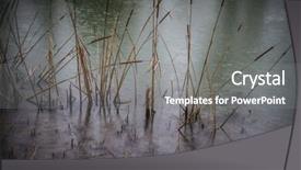  Presentation with world heritage sites - Beautiful presentation design featuring site by unesco in 2001 backdrop and a gray colored foreground