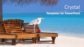  Presentation with bird - Theme featuring sitting bird on holiday background and a teal colored foreground