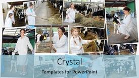  Presentation with collage of diversity people - Presentation design consisting of sitting bull - collage with ten people three background and a light blue colored foreground