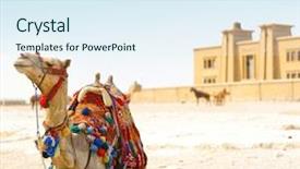  Presentation with camel - PPT theme enhanced with sitting camel on sand background and a sky blue colored foreground