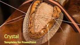  Presentation with leather shoes - Presentation design enhanced with sitting in workshop making shoes background and a tawny brown colored foreground