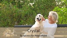  Presentation with dog - Beautiful theme featuring sitting on bench with dog backdrop and a coral colored foreground