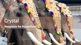  Presentation with india festival - Audience pleasing slide deck consisting of siva temple cochin india backdrop and a coral colored foreground