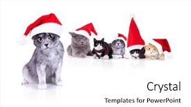  Presentation with cats - Presentation theme having six adorable cats wearing santa background and a white colored foreground