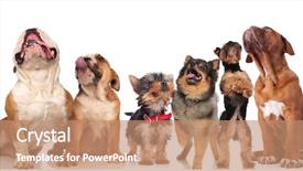  Presentation with standing sitting - Colorful slide set enhanced with six cute dogs panting backdrop and a coral colored foreground