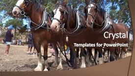  Presentation with plowing - Slides having six horse team waiting background and a tawny brown colored foreground