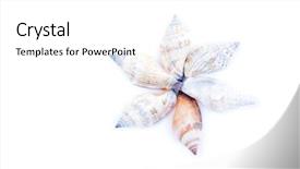  Presentation with circle - Theme with pour - english tea in white china background and a coral colored foreground