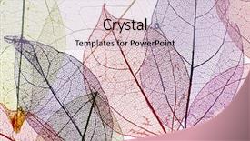  Presentation with skeleton - PPT theme having skeletal - decorative skeleton leaves background background and a lemonade colored foreground